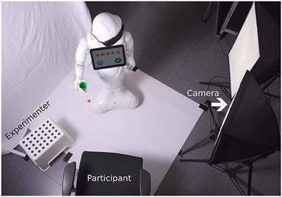 A User Study on Robot Skill Learning Without a Cost Function: Optimization of Dynamic Movement Primitives via Naive User Feedback